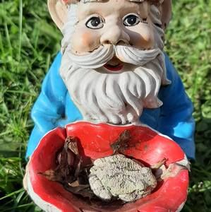 Meet your Posher, Tanneke